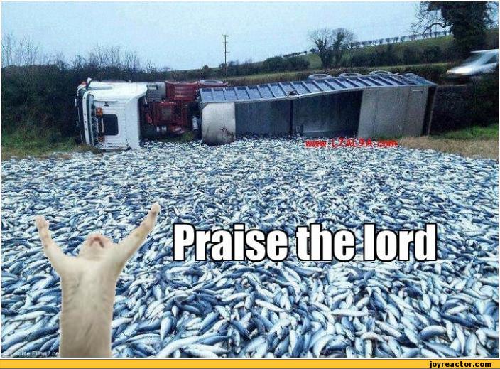 auto-fish-cats-prayer-201115.jpeg