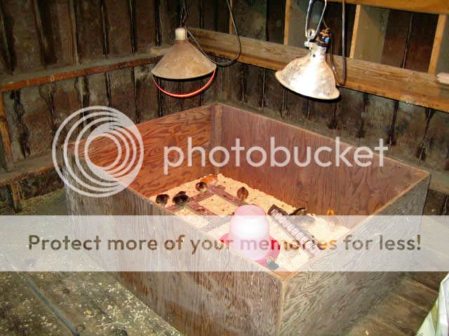 IMG_0505_edited.jpg