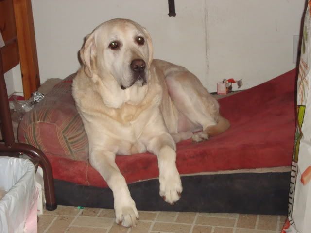 DSC01491.jpg