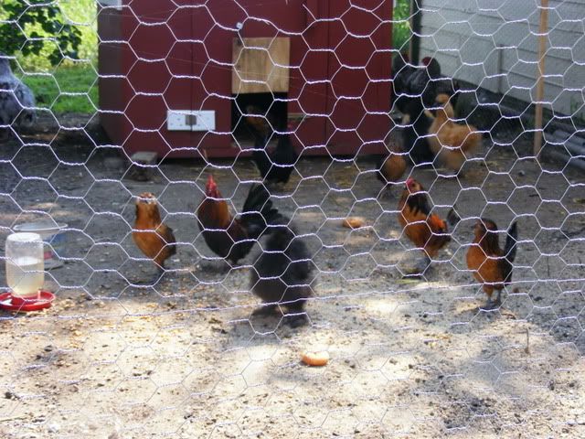 Picture002-1.jpg