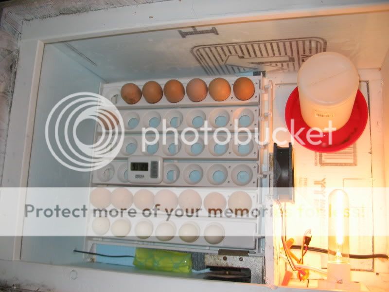 January2008032.jpg