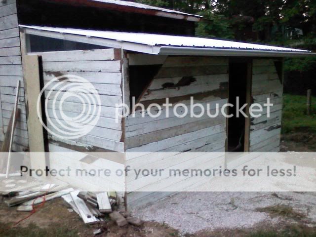 chickenhouse2-1.jpg
