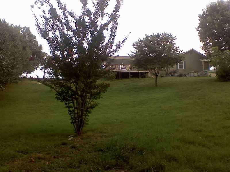 0813002013a.jpg