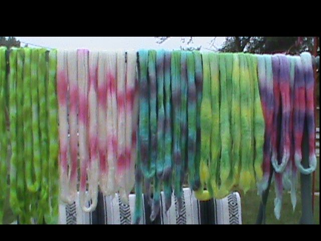 dye090609a.jpg