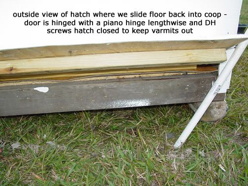 floor6.jpg
