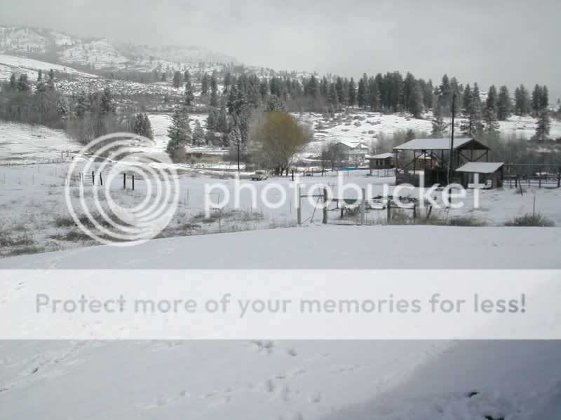 DSCN2474.jpg