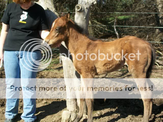 april17dakota4wks018.jpg