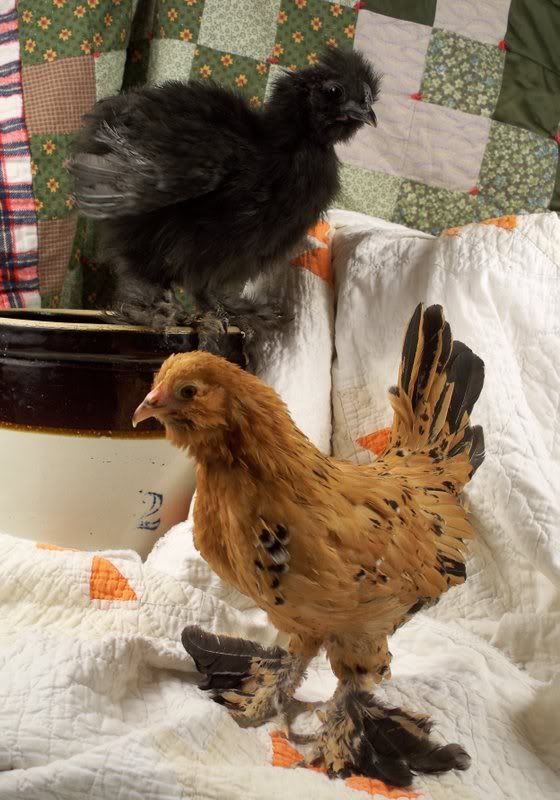 charliroxie.jpg