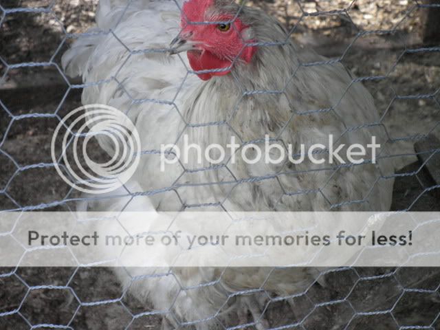 P6300163.jpg