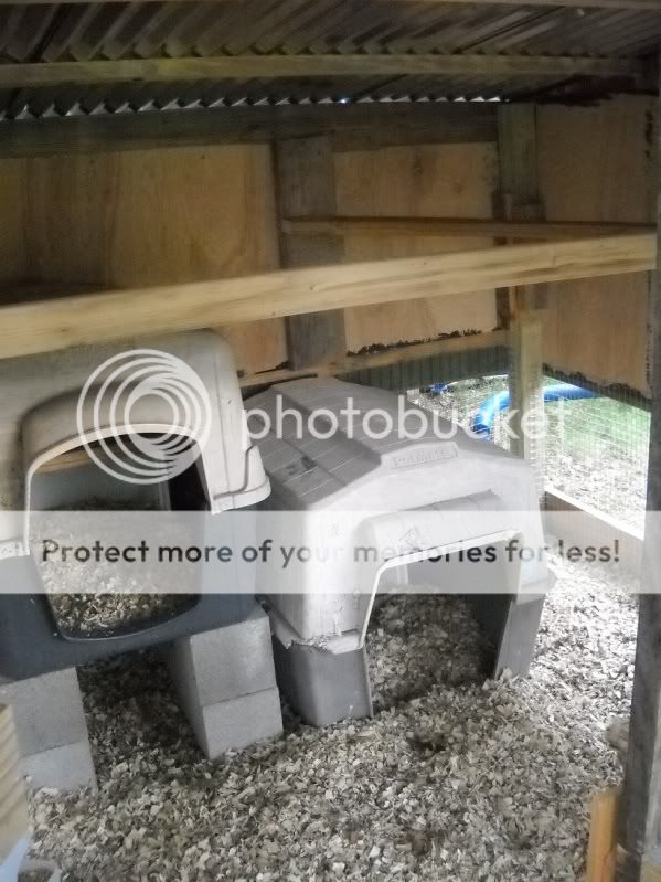 DSCN3150.jpg
