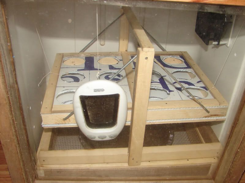 eggturner2.jpg