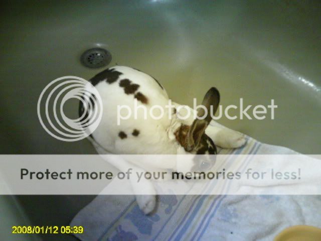 PICT0255.jpg