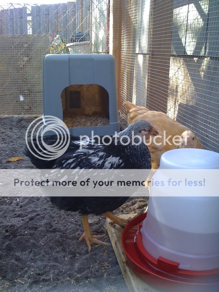 1b64f001.jpg