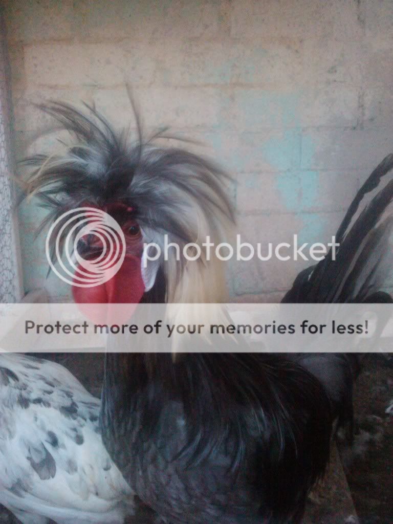 2010-09-21182241.jpg