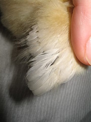 4527484142_f6aa4aa99e_m.jpg