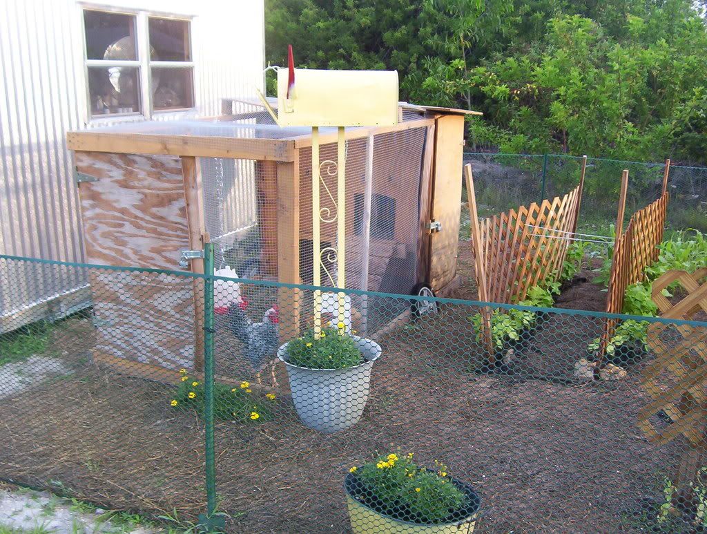 05092008001.jpg