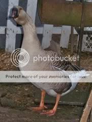 file-28.jpg