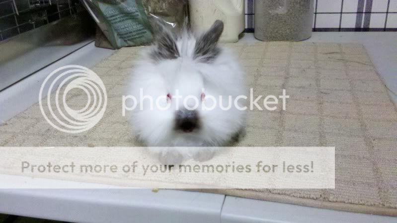2011-12-17_11-59-17_75.jpg