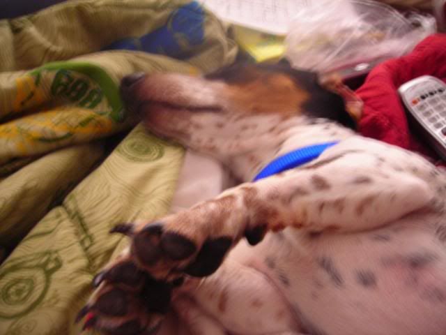 DSCN4951.jpg