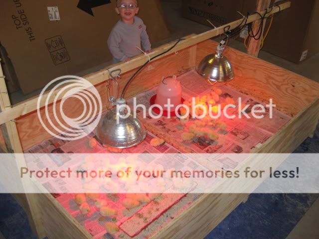 easter048.jpg