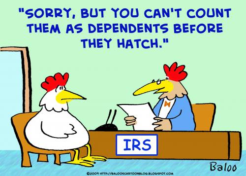 chickens_irs_dependents_hatch_381195.jpg