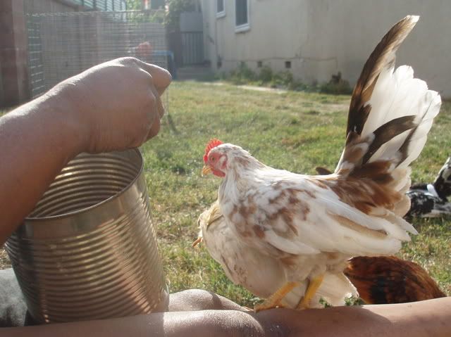 P5110094.jpg