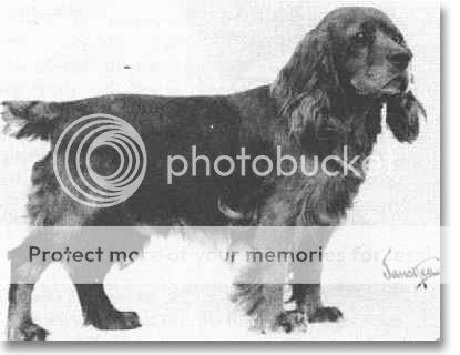 RedBrucie-1921.jpg