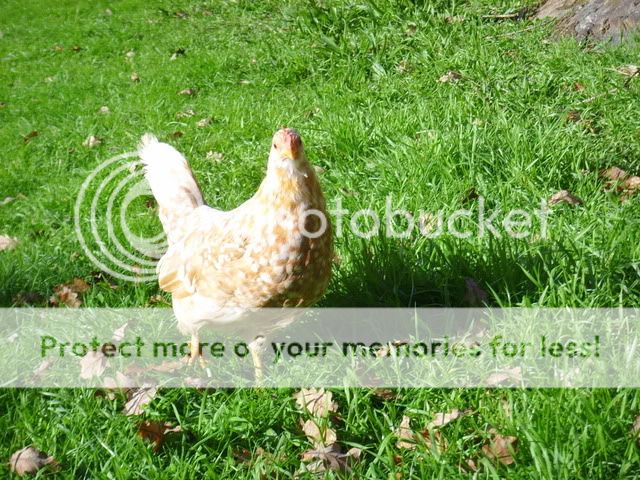 cuteyys073.jpg