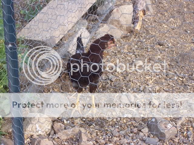 100_1686.jpg
