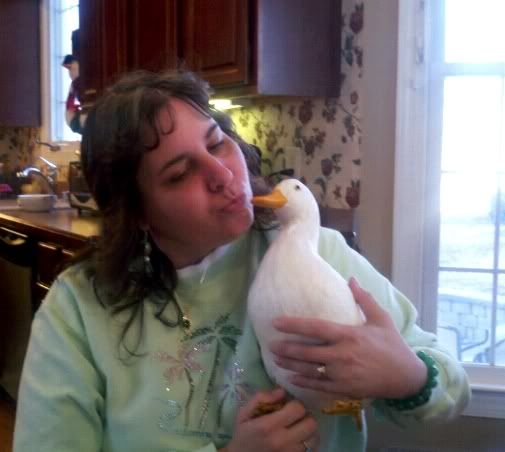 duck1a.jpg