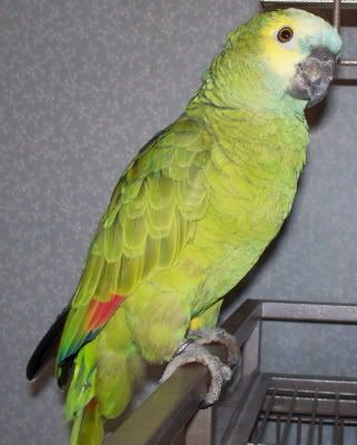 070321031132.jpg