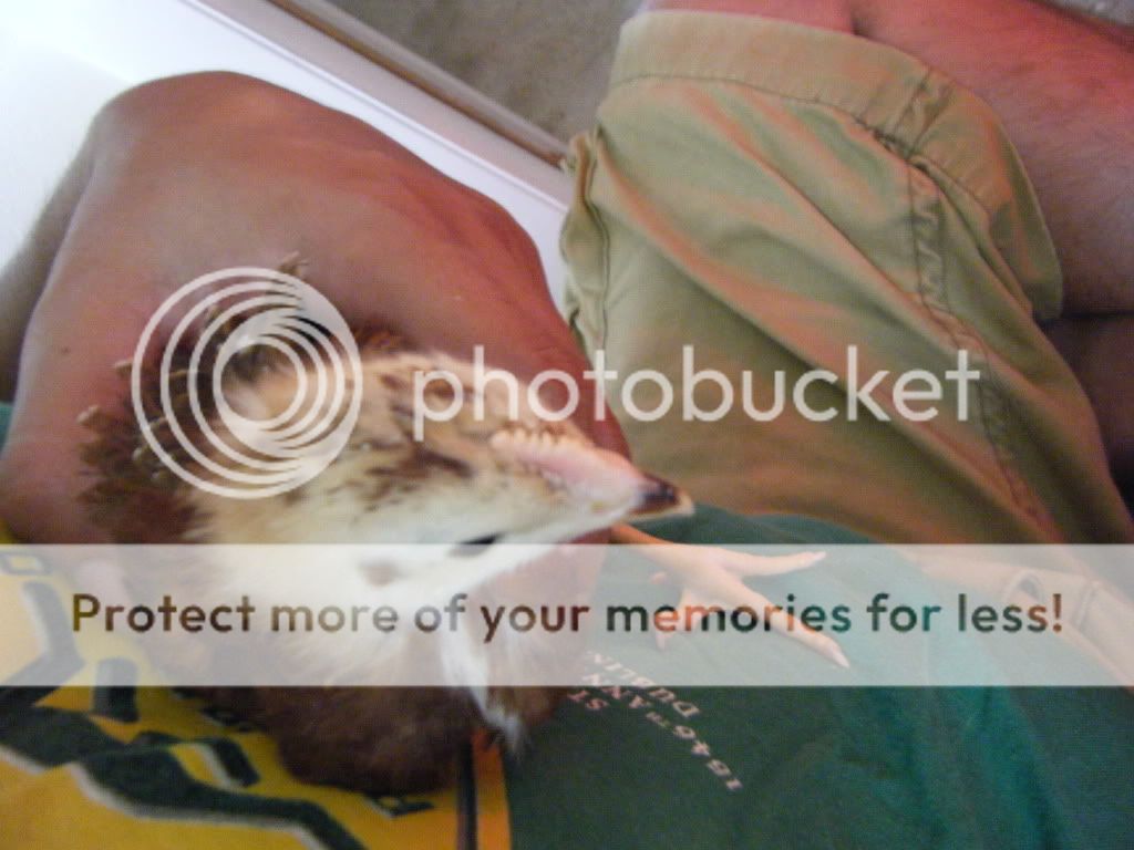 DSCF4744.jpg