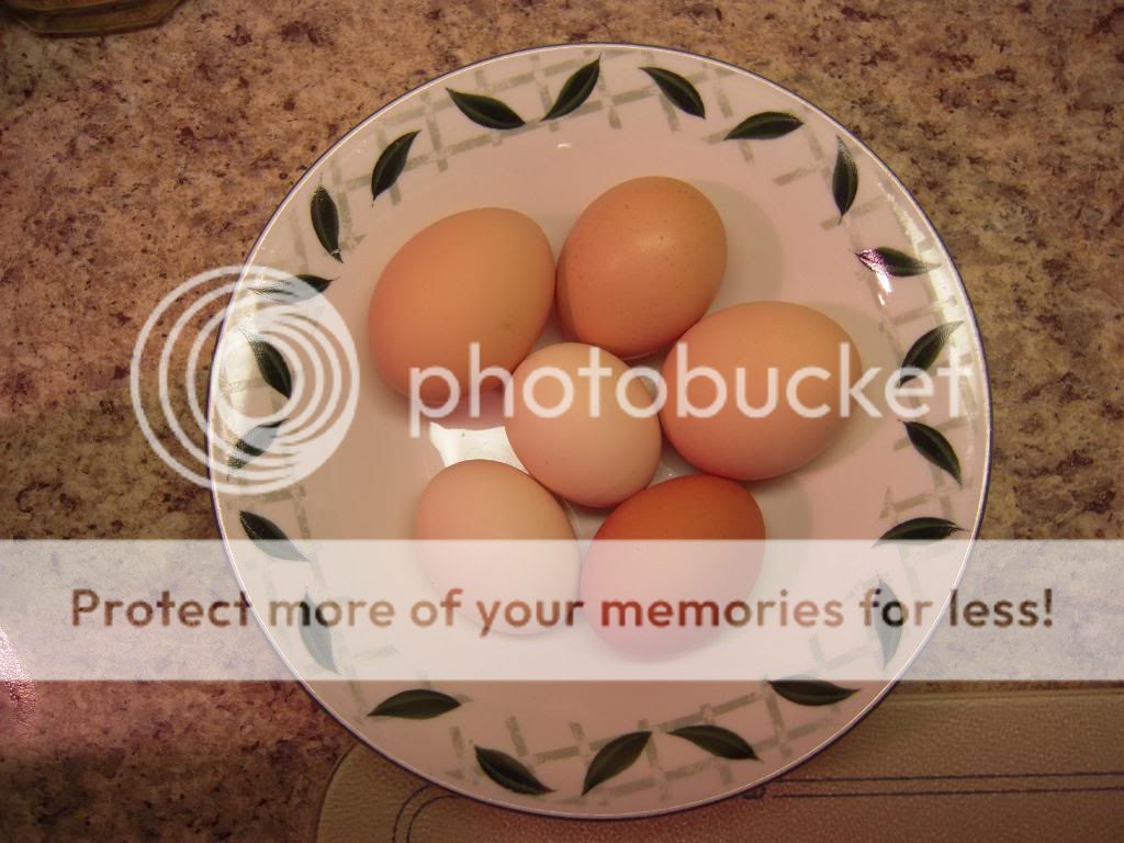 DSCN3860.jpg