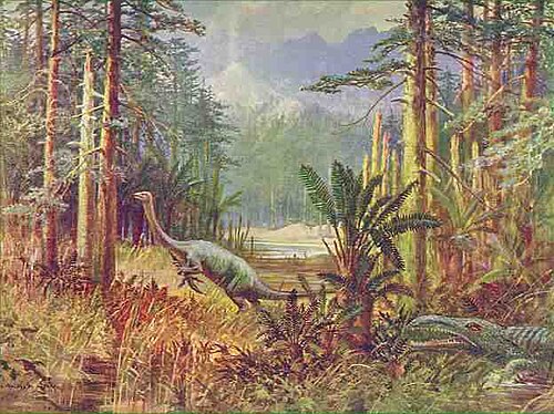500px-Anchisaurus2.jpg
