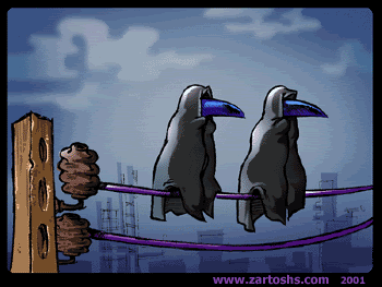image001.gif