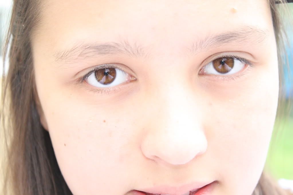vids2008.jpg