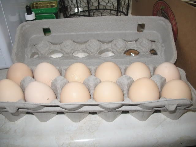 013-1.jpg
