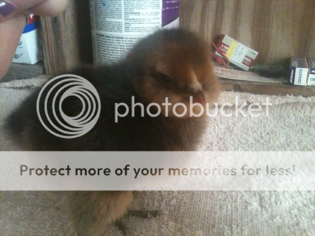 36b92c7f.jpg