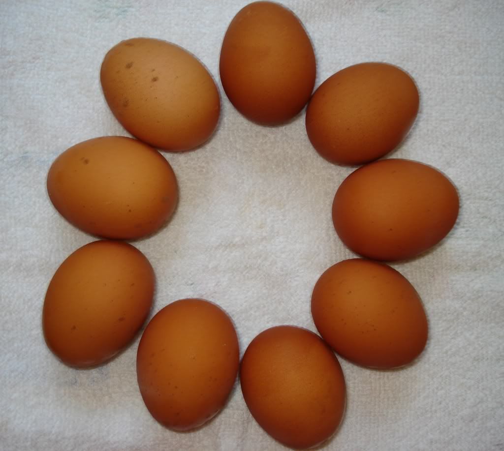 Heloiseeggs.jpg