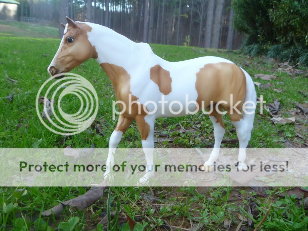breyerhorses001.jpg