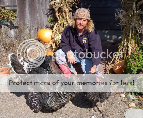 Oct51.jpg