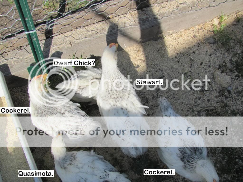 group1.jpg