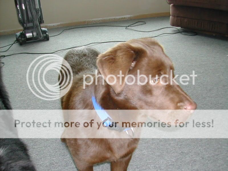DSCN2249.jpg