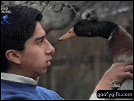 DhOLAHR.gif