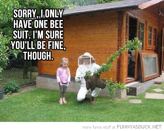 funny-girl-bee-suit-youll-be-fine-pics.jpg