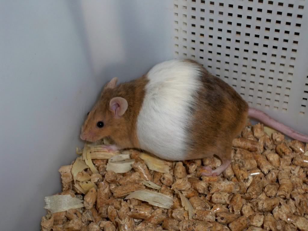 12-03-2011092.jpg