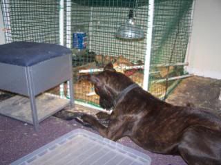 103_0703.jpg