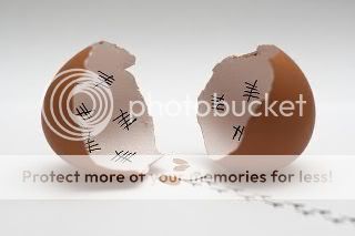 egg113011.jpg