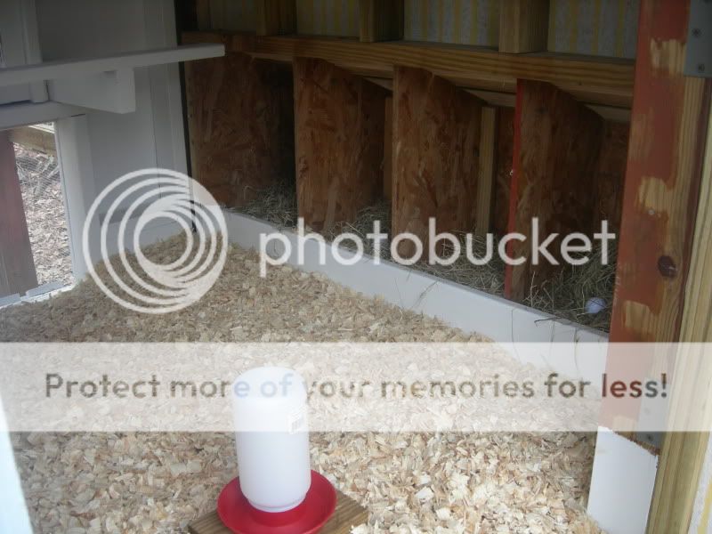 DSCN3028.jpg