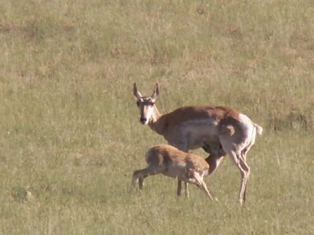 July2008039.jpg